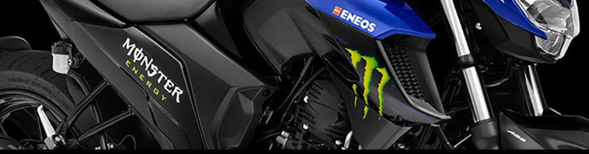 FZ25 Monster Energy